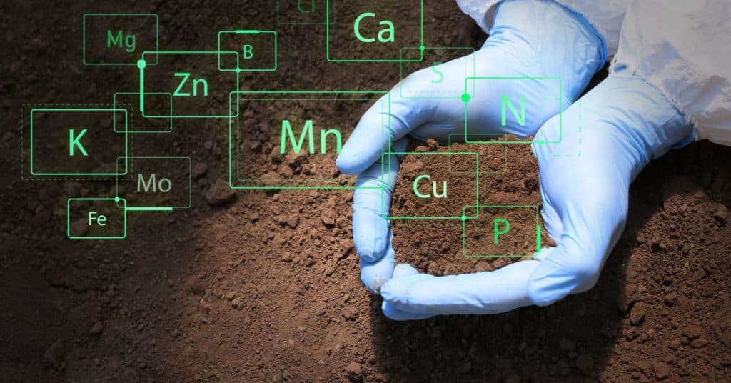 Soil Remediation & Testing in Chelmsford
